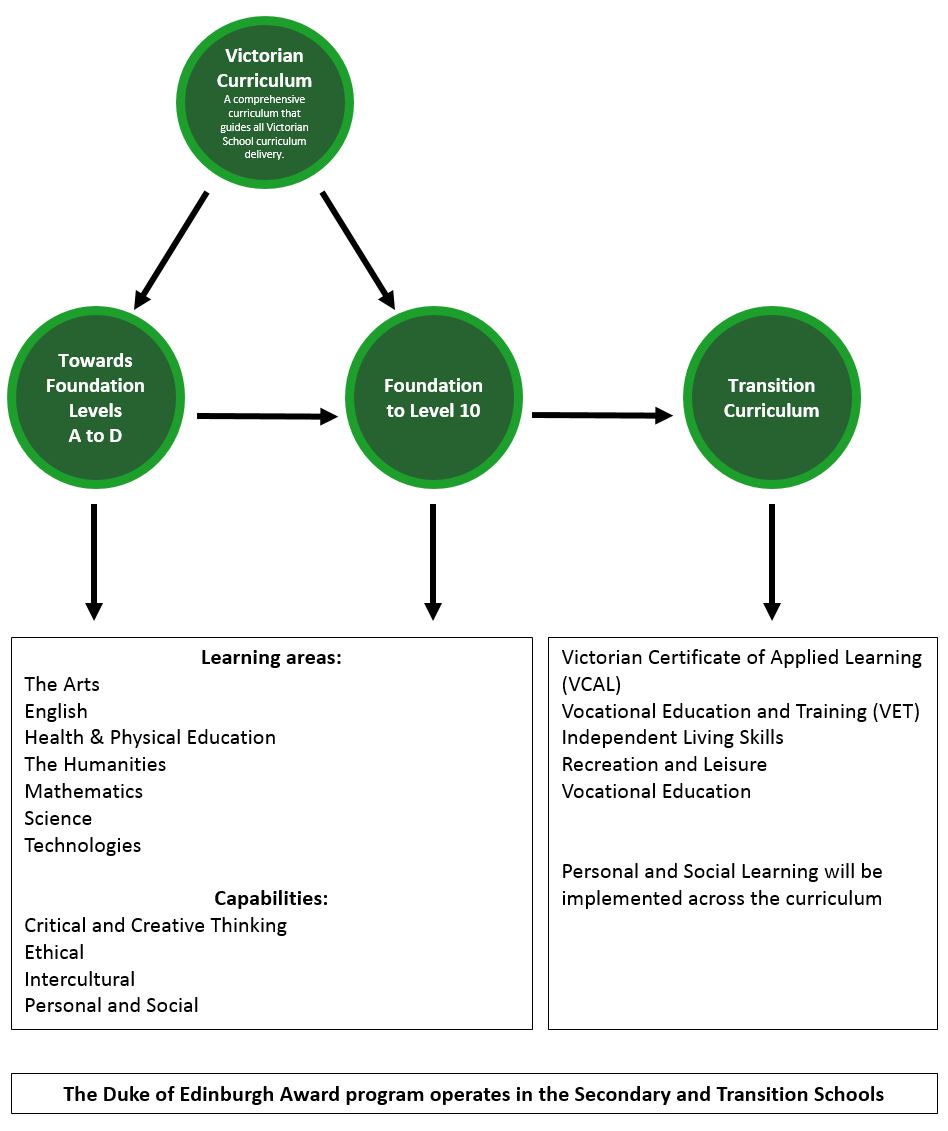 curriculum-diagram